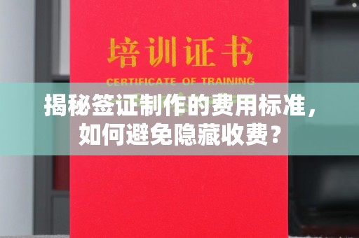 龙胜揭秘签证制作的费用标准，如何避免隐藏收费？