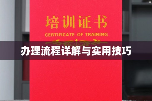 龙胜办理流程详解与实用技巧