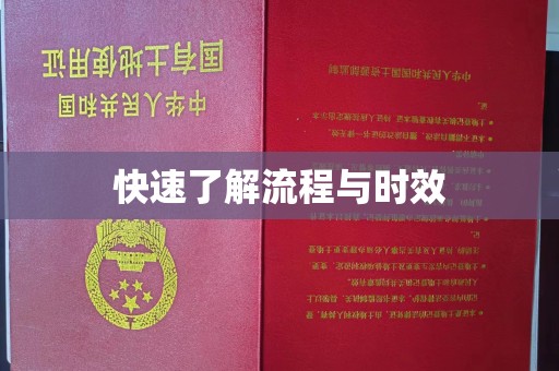 龙胜快速了解流程与时效