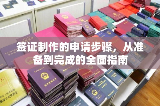龙胜签证制作的申请步骤，从准备到完成的全面指南